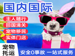 喀什徕宁航空运输国际宠物托运 【国